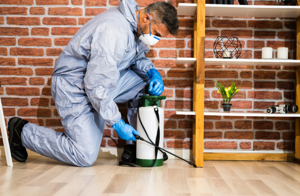 Comprehensive Guide to Residential Ant Control and Prevention in New Jersey Ant Control Image